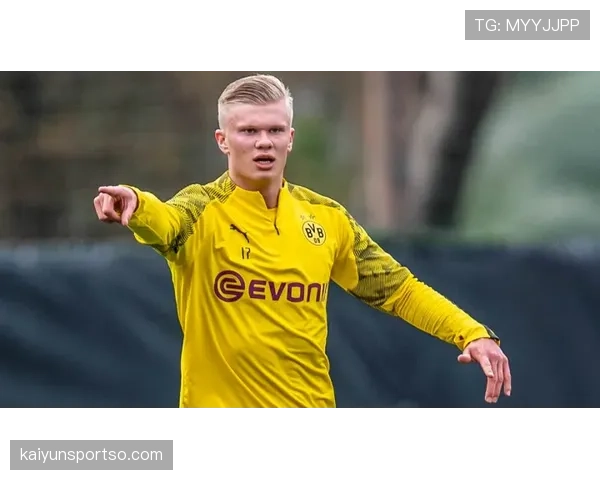 哈兰德高产数据的效率与比赛影响力解析